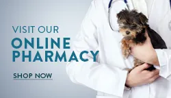Vetsfirstchoice
