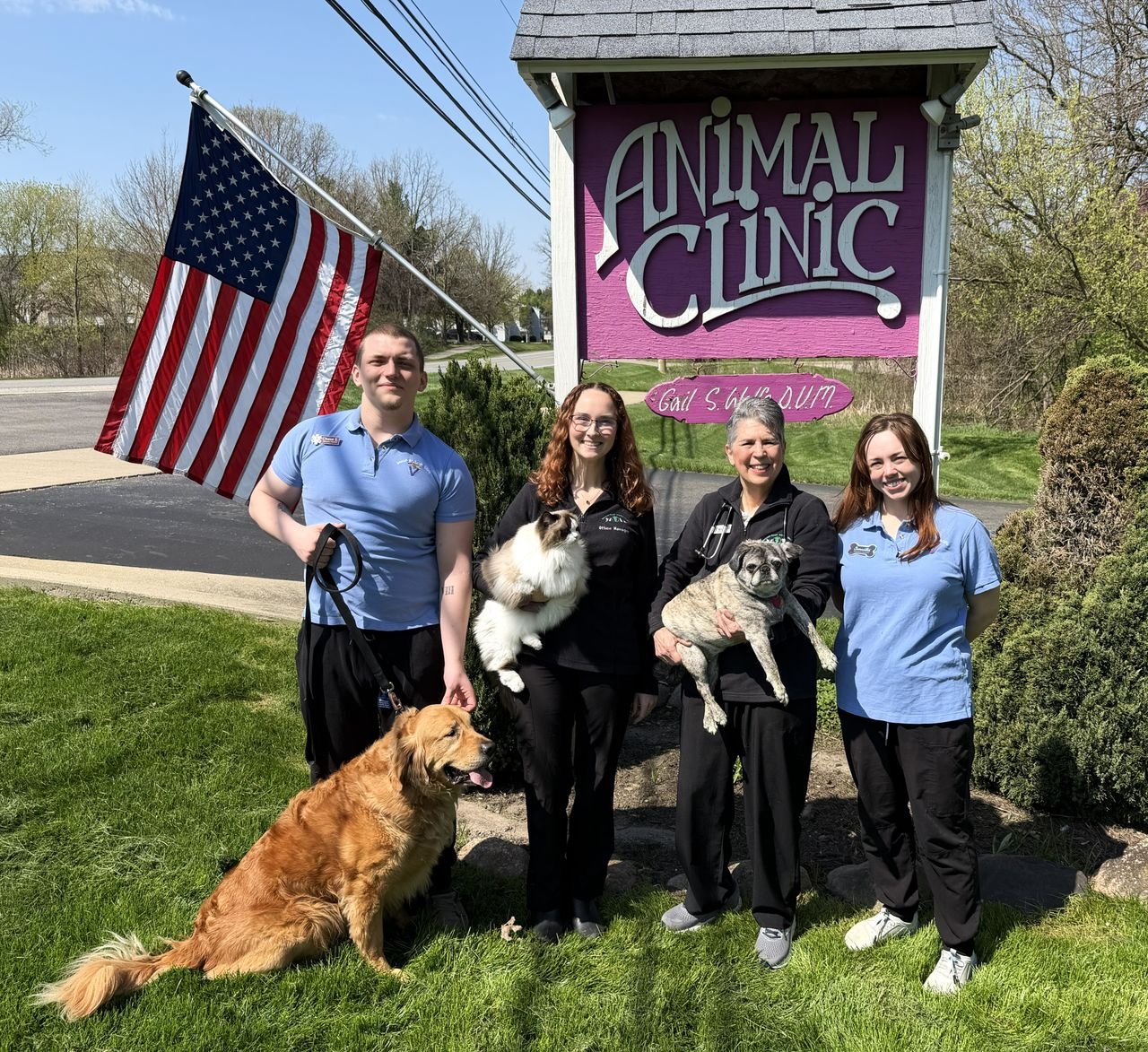 Veterinarian in Okemos, MI